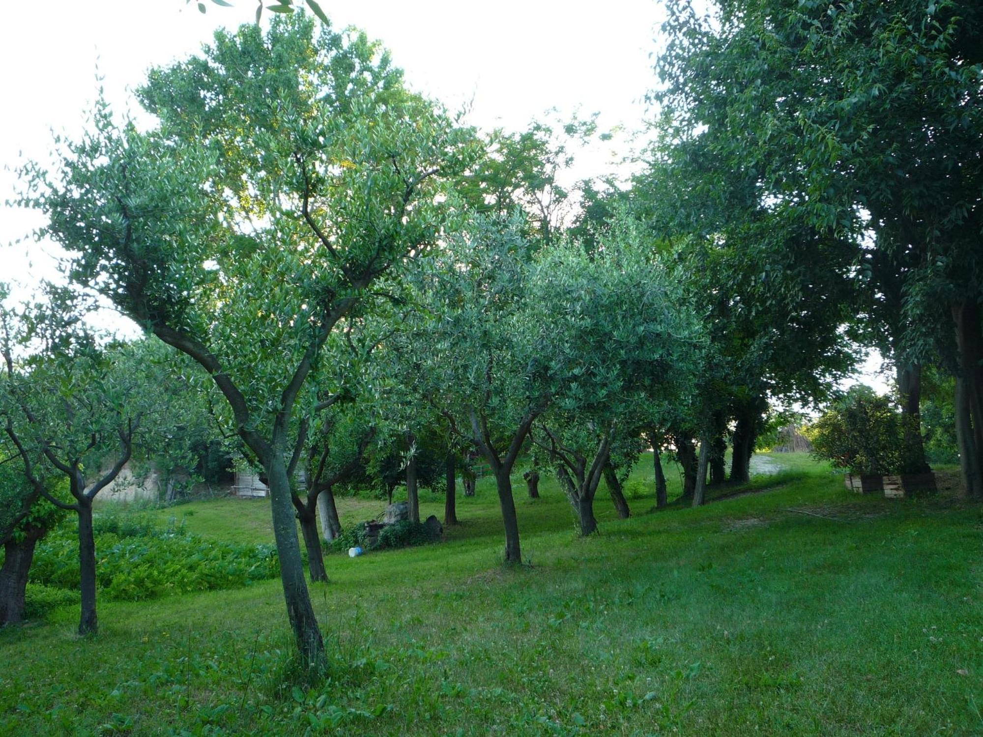 Agriturismo Lupo Bianco Monzambano Exterior photo